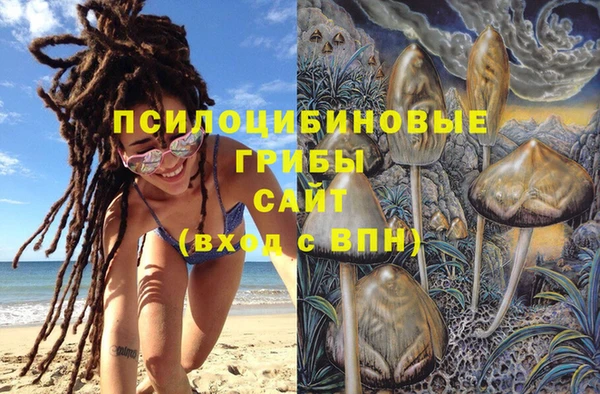 ALPHA-PVP Няндома