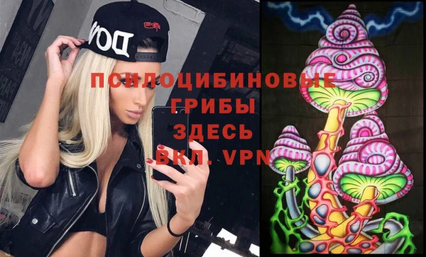 ALPHA-PVP Няндома