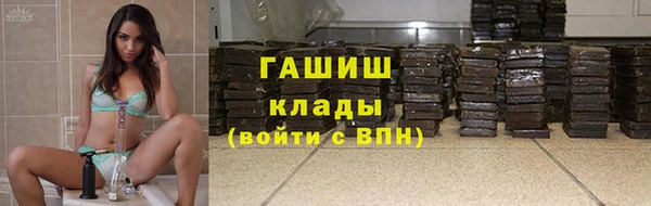 прущие грибы Верея