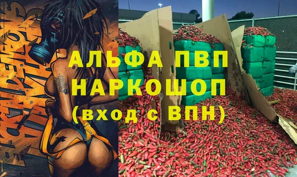 a pvp Новозыбков