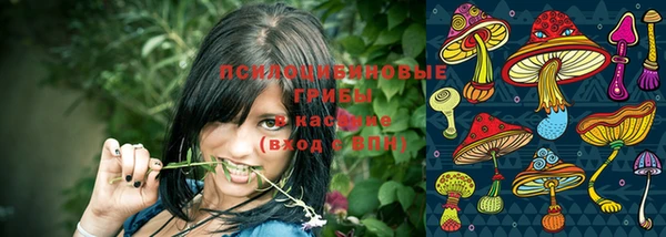 мдпв Нязепетровск