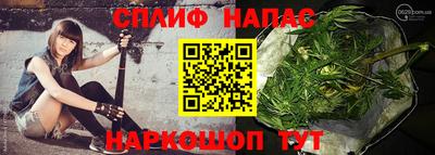 Альфа ПВП Аргун
