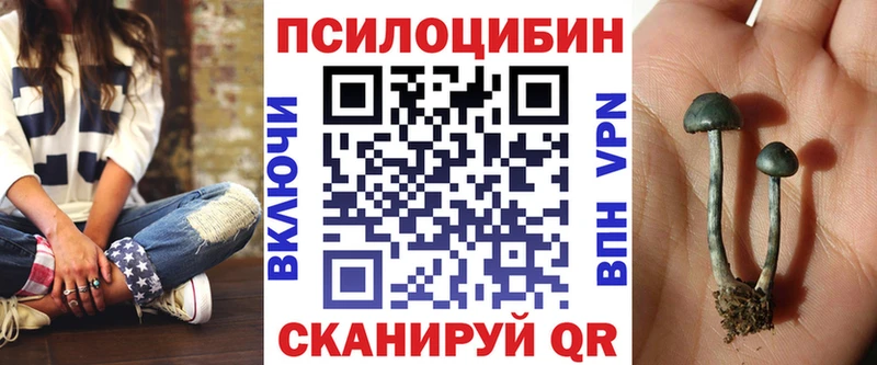 Галлюциногенные грибы GOLDEN TEACHER  Богородск 