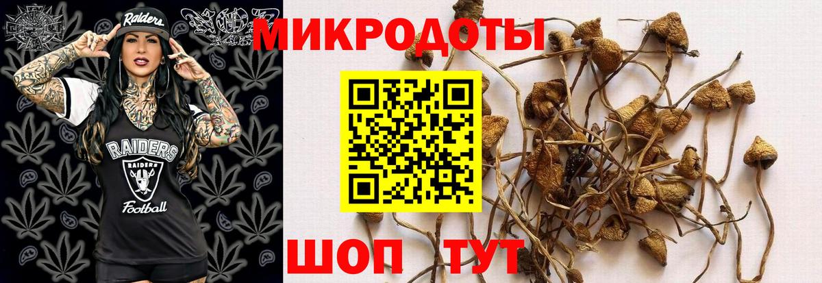 Галлюциногенные грибы мицелий  Вход с VPN  Богородск 