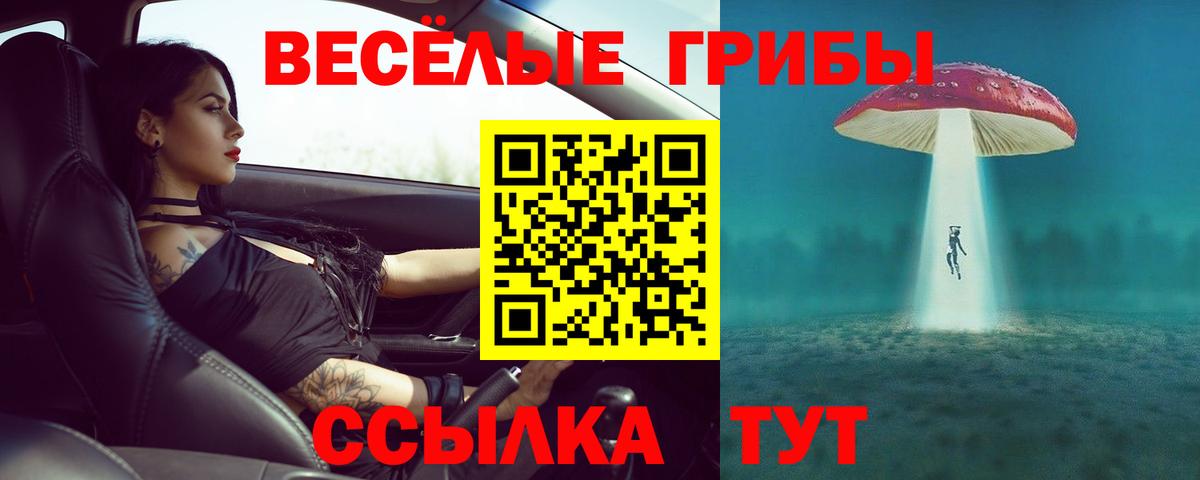 Галлюциногенные грибы Magic Shrooms Богородск